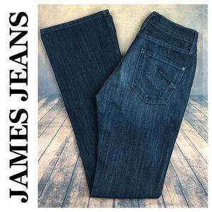 💸James Jeans ReBoot Denim Jean Size 25